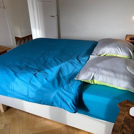 Joli 2 Pieces Dernier Etage, Lausanne Centre Ngoại thất bức ảnh